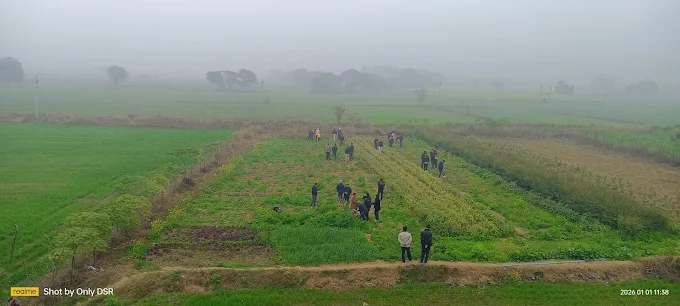 Agriculture Courses in India – Build Your Future with Vikrant University