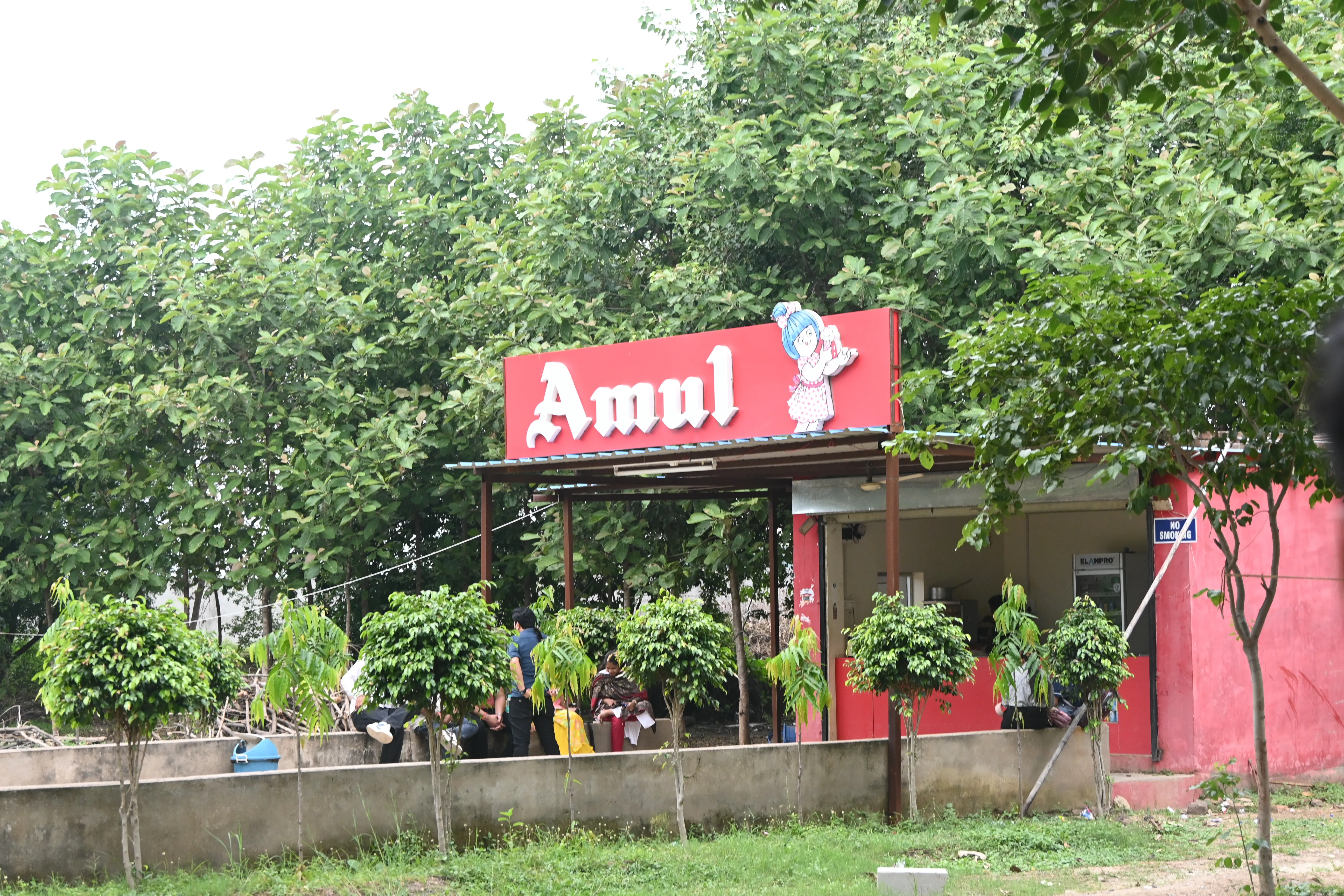 Campus Life - Picnic