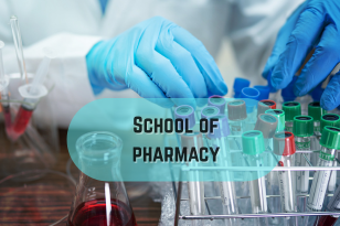 Pharmacy Schools