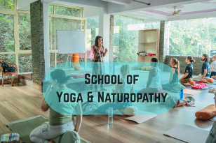 Schools of yoga